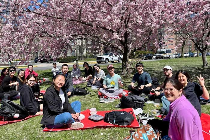 Group picnic under the pink cherry trees